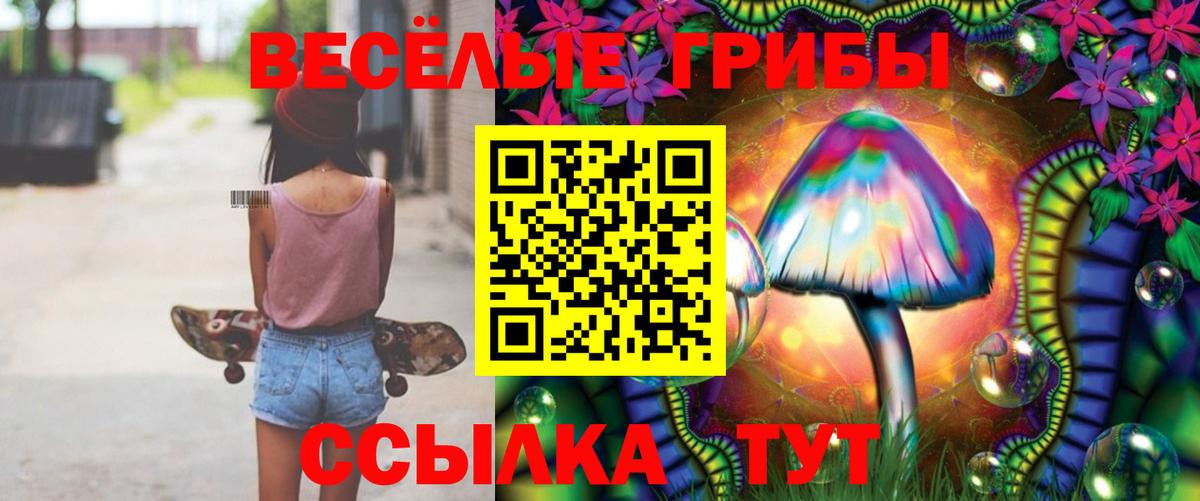 Галлюциногенные грибы мицелий Камышлов