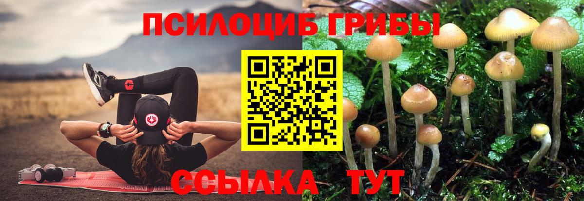 Камышлов  Псилоцибиновые грибы GOLDEN TEACHER  Вход с VPN 